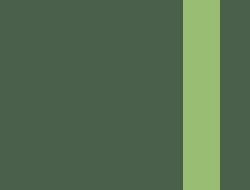 Verde·Verde ácido 07010