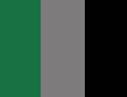 W·Verde oscuro/Gris oscuro/Negro