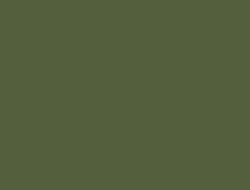 824 Verde musgo